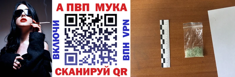 Альфа ПВП СК КРИС  Нерехта 