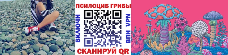 KRAKEN ссылки купить наркотики сайты Нерехта Псилоцибиновые грибы мицелий